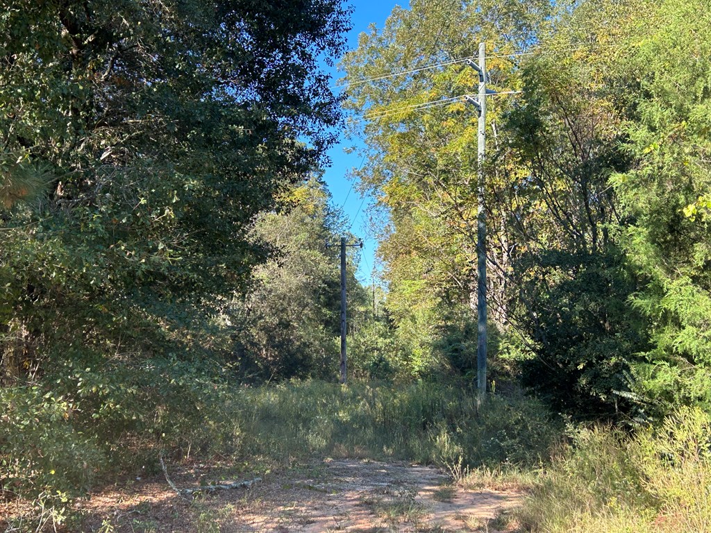 140/ Cty Road Headland, AL 36345 - Photo 15 of 33