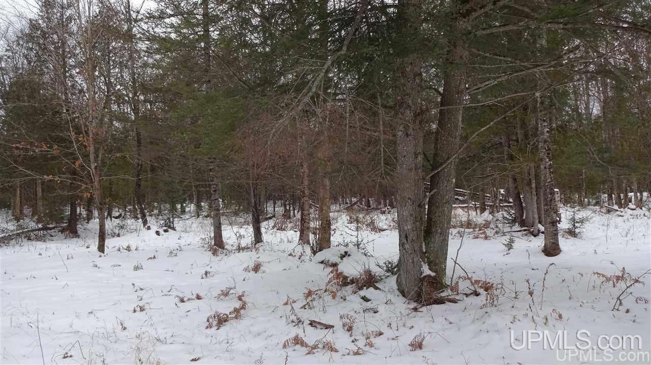 Tbd Winters/savola Road Trenary, MI 49891 - Photo 11 of 19