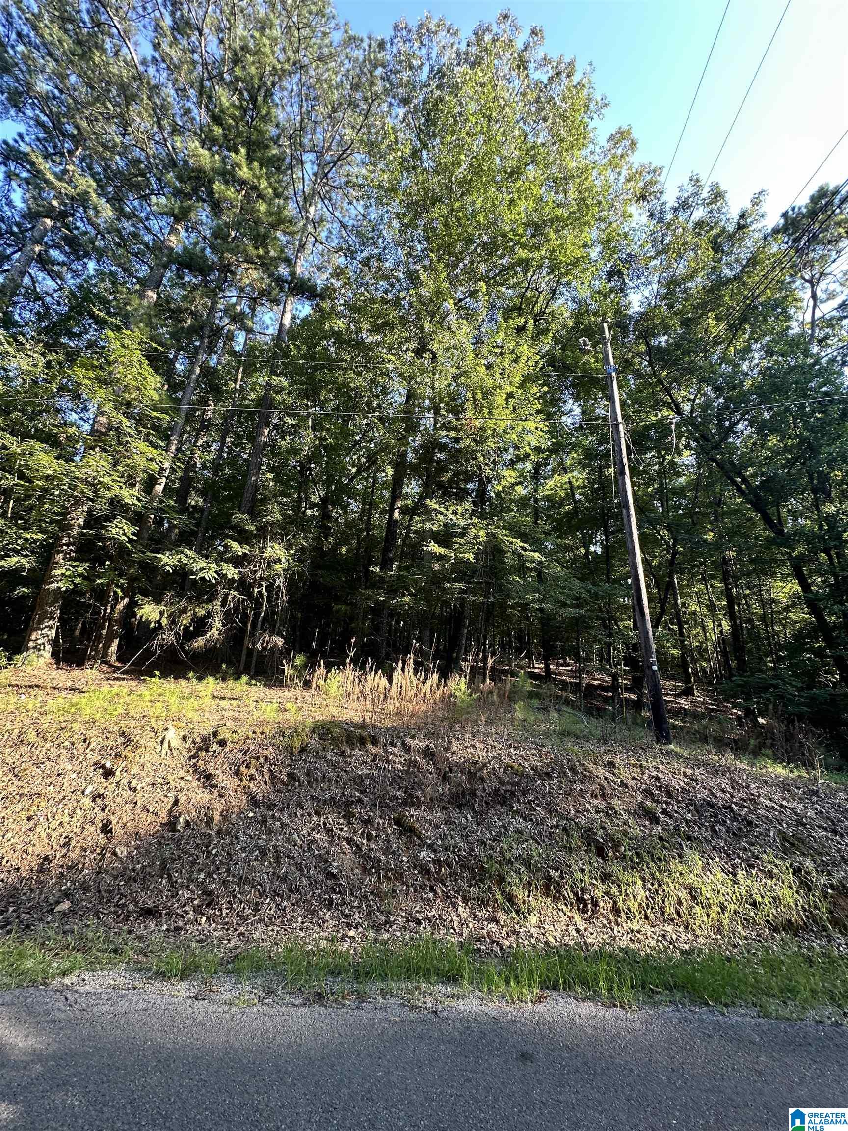 500 Black Acres Road, Unit 27 Cropwell, AL 35054 - Photo 3 of 25