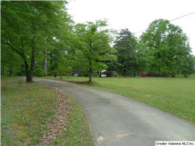 3057 Mayfield Road Warrior, AL 35180 - Photo 2 of 12