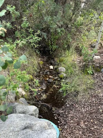 a view of outdoor space