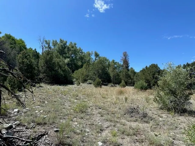 a view of a dry yard with trees in the background