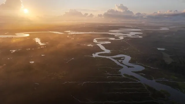 $45,000,000 | 1300 Retreat Road, Riceboro, GA 31323