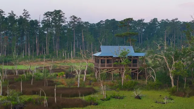 $45,000,000 | 1300 Retreat Road, Riceboro, GA 31323