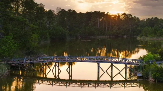 $45,000,000 | 1300 Retreat Road, Riceboro, GA 31323