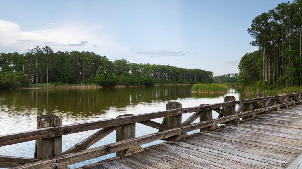 1300 Retreat Road Riceboro, GA 31323 - Photo 55 of 91