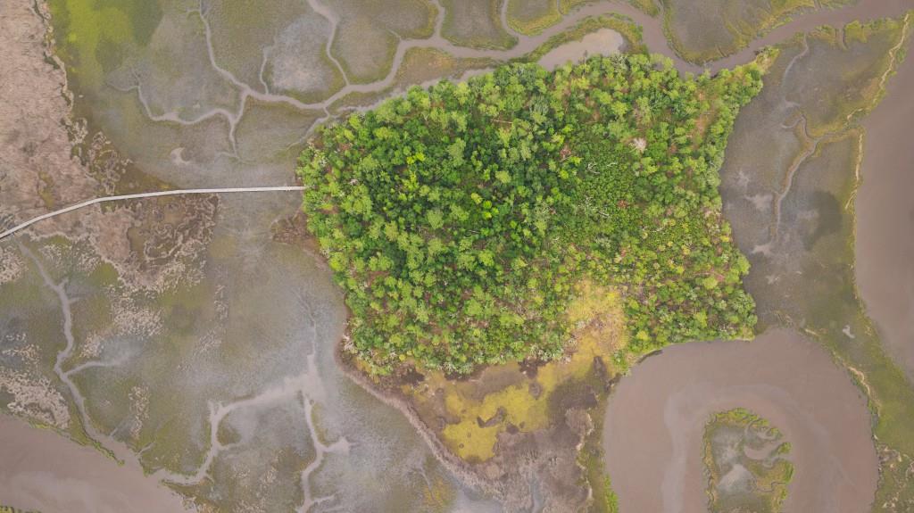 1300 Retreat Road Riceboro, GA 31323 - Photo 57 of 91