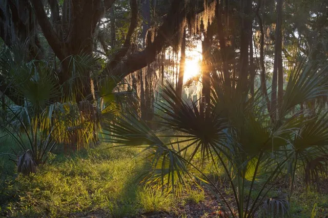 a bathroom with a granite countertop sink toilet a mirror a vanity and shower