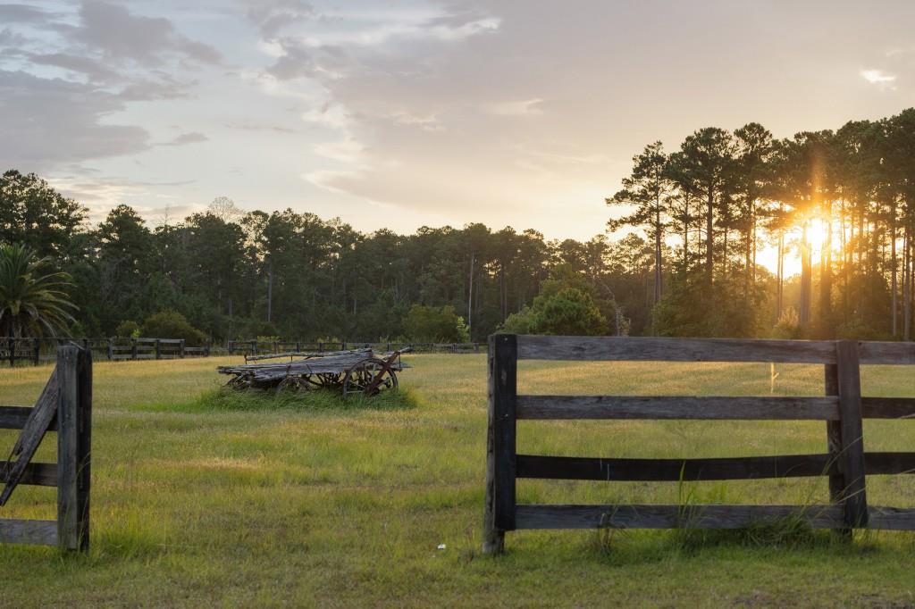 1300 Retreat Road Riceboro, GA 31323 - Photo 63 of 91
