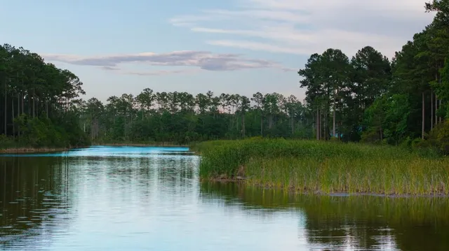 $45,000,000 | 1300 Retreat Road, Riceboro, GA 31323