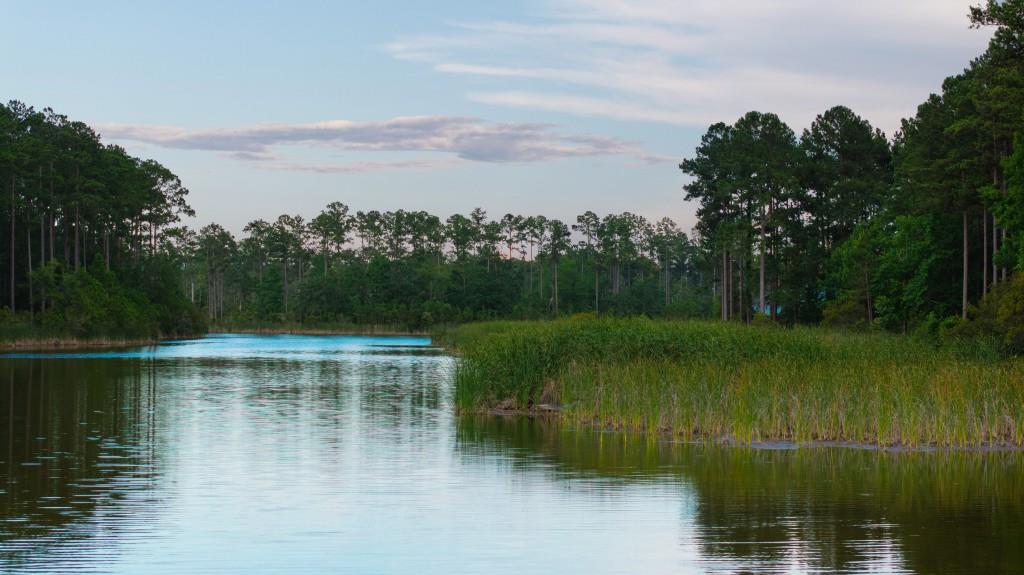 1300 Retreat Road Riceboro, GA 31323 - Photo 65 of 91