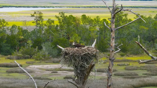 $45,000,000 | 1300 Retreat Road, Riceboro, GA 31323