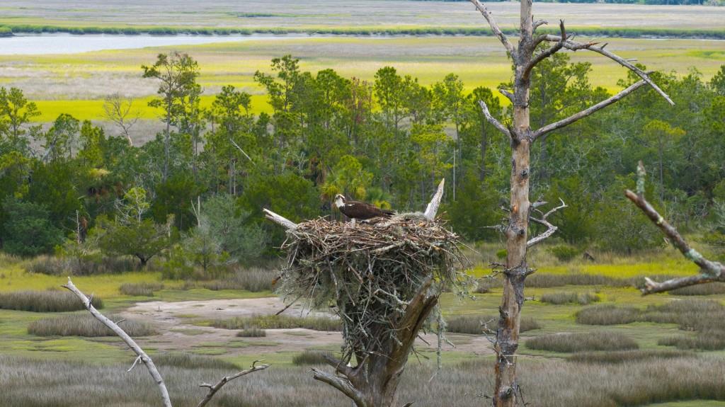 1300 Retreat Road Riceboro, GA 31323 - Photo 68 of 91