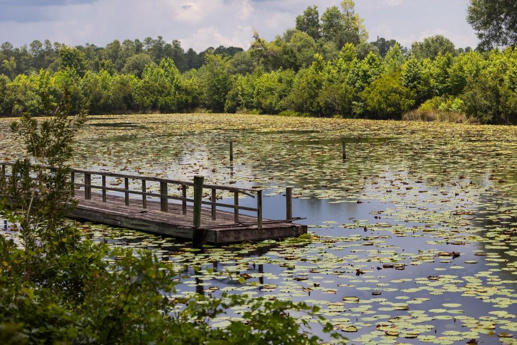 1300 Retreat Road Riceboro, GA 31323 - Photo 69 of 91 a view of a lake with a mountain view