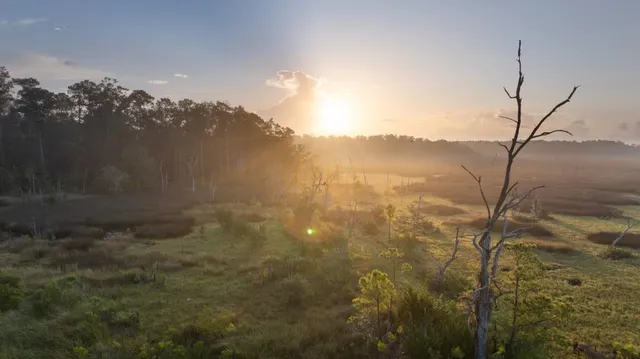 $45,000,000 | 1300 Retreat Road, Riceboro, GA 31323