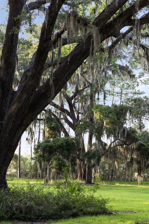 1300 Retreat Road Riceboro, GA 31323 - Photo 73 of 91