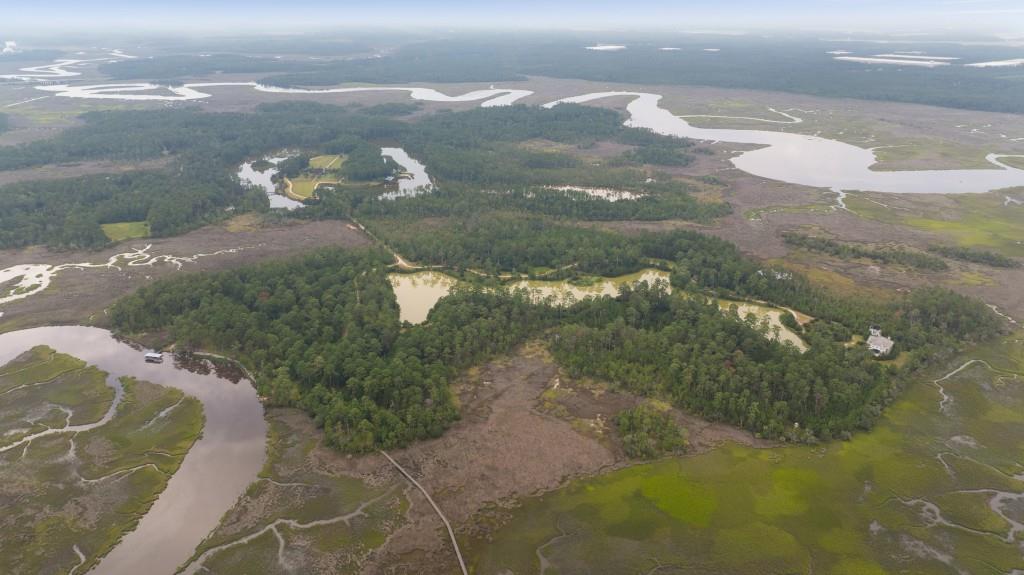 1300 Retreat Road Riceboro, GA 31323 - Photo 76 of 91