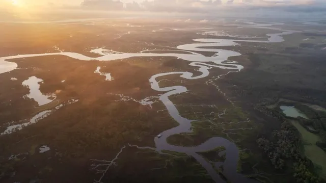 $45,000,000 | 1300 Retreat Road, Riceboro, GA 31323