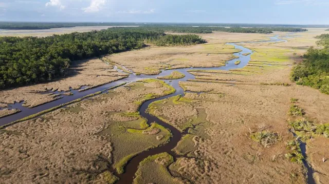 $45,000,000 | 1300 Retreat Road, Riceboro, GA 31323