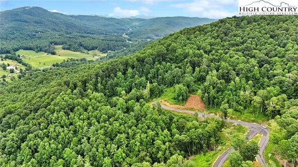a view of a lush green field with a tree in the background