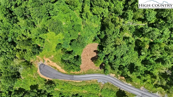 a view of a yard with plants