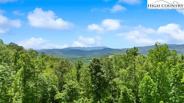 a view of a bunch of trees