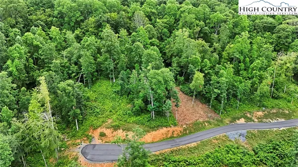 a view of a back yard of the house
