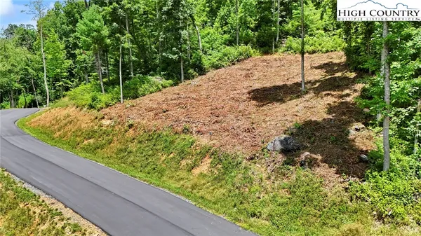 a view of a backyard with plants