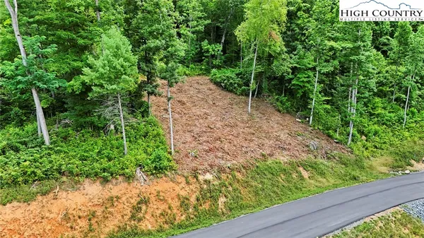 a view of a garden with plants