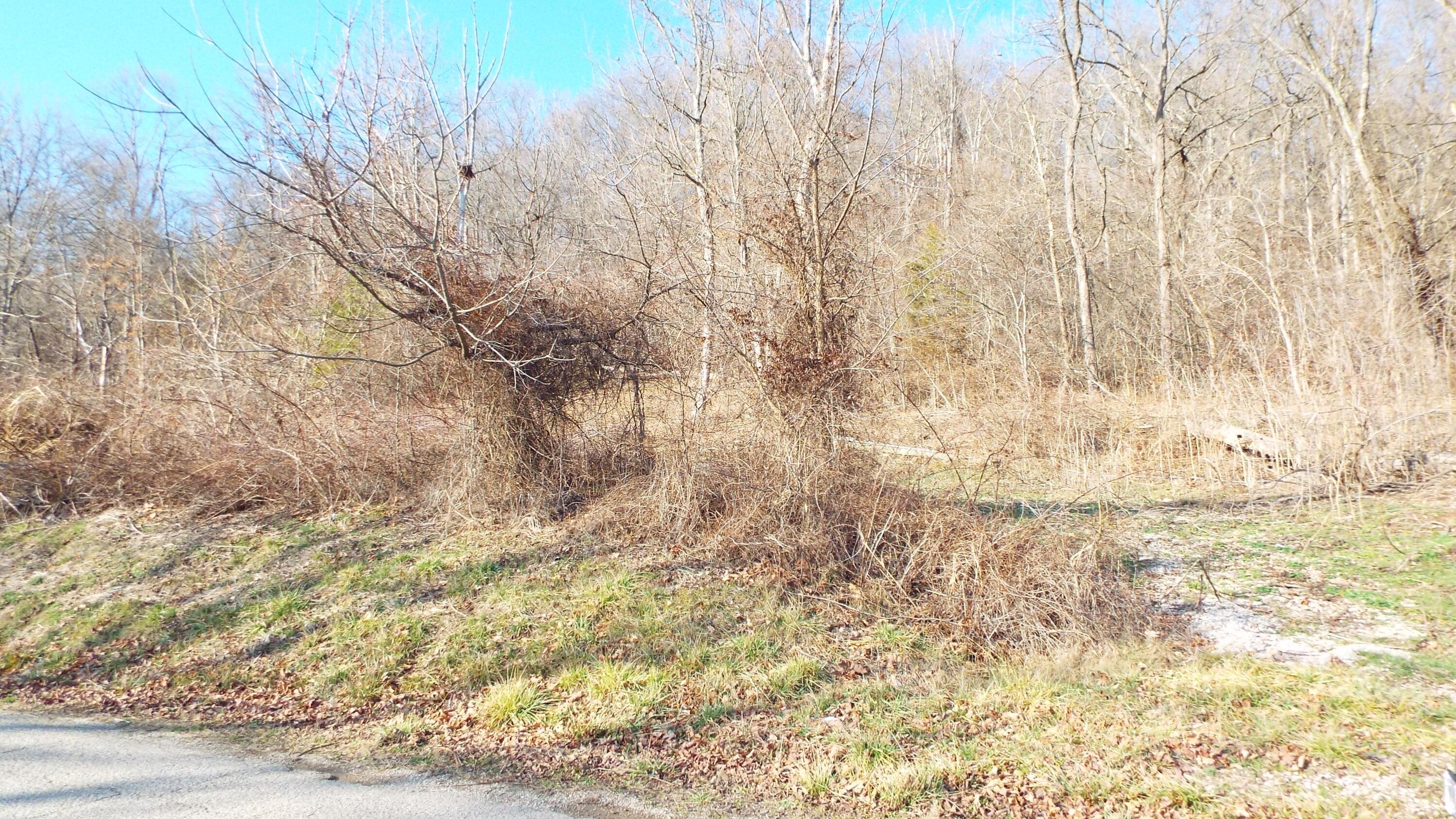 0 Bessemer Road Nelsonville, OH 45764 - Photo 2 of 9 DSCF6409