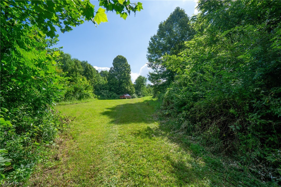 74000 Broadhead Road Kimbolton, OH 43749 - Photo 8 of 34 Gallery Image 8