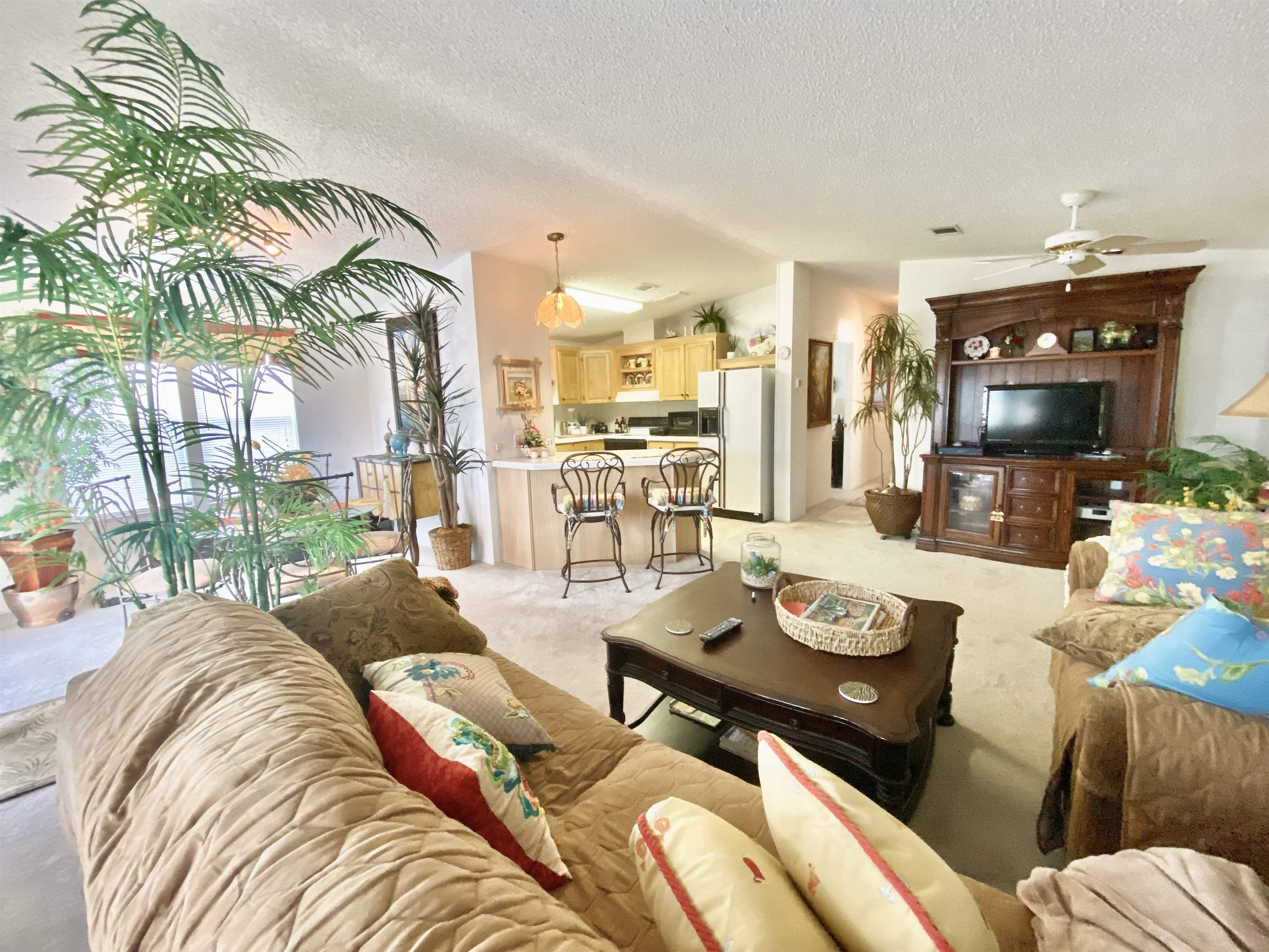 119 Anchorage Drive Beverly Beach, FL 32136 - Photo 5 of 33 a living room with furniture and a flat screen tv
