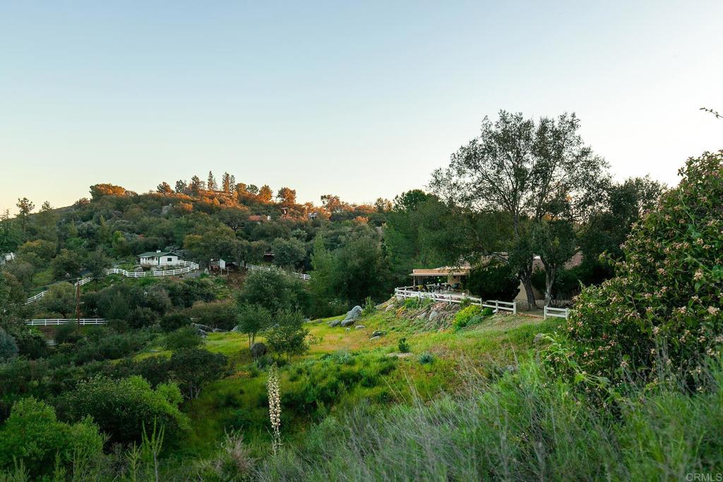 2686 Via Viejas Alpine, CA 91901 - Photo 39 of 64 a view of a lush green forest with lots of trees