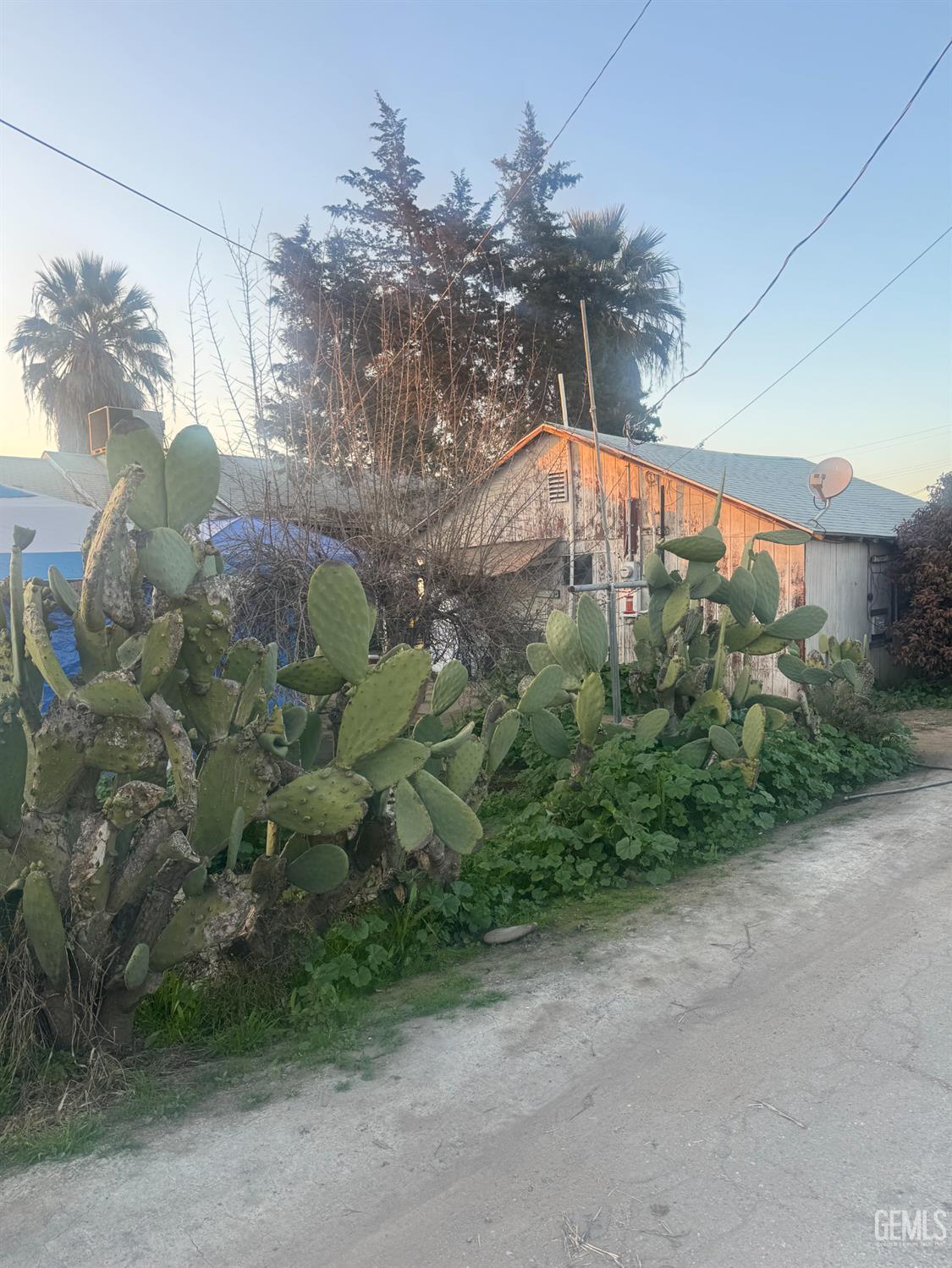 Undisclosed Address Buttonwillow, CA 93206 - Photo 3 of 19 a picture of plants