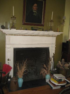 34W856 Country Club Road Wayne, IL 60184 - Photo 11 of 16 a room with a fireplace and potted plant