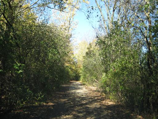 34W856 Country Club Road Wayne, IL 60184 - Photo 5 of 16 a view of a forest with trees