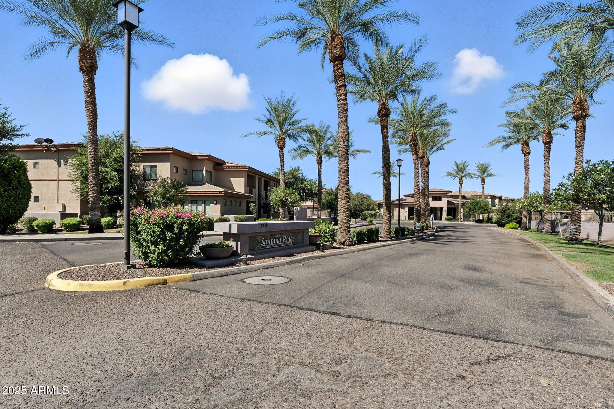 3330 South Gilbert Road, Unit 2062 Chandler, AZ 85286 - Photo 55 of 61 a row of palm trees sitting in front of a building