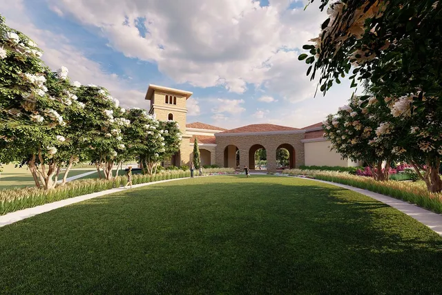 a view of a garden with potted plants