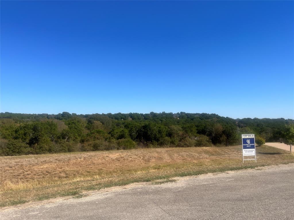 8405 Gullane Street Cleburne, TX 76033 - Photo 6 of 37 a view of a road with a forest