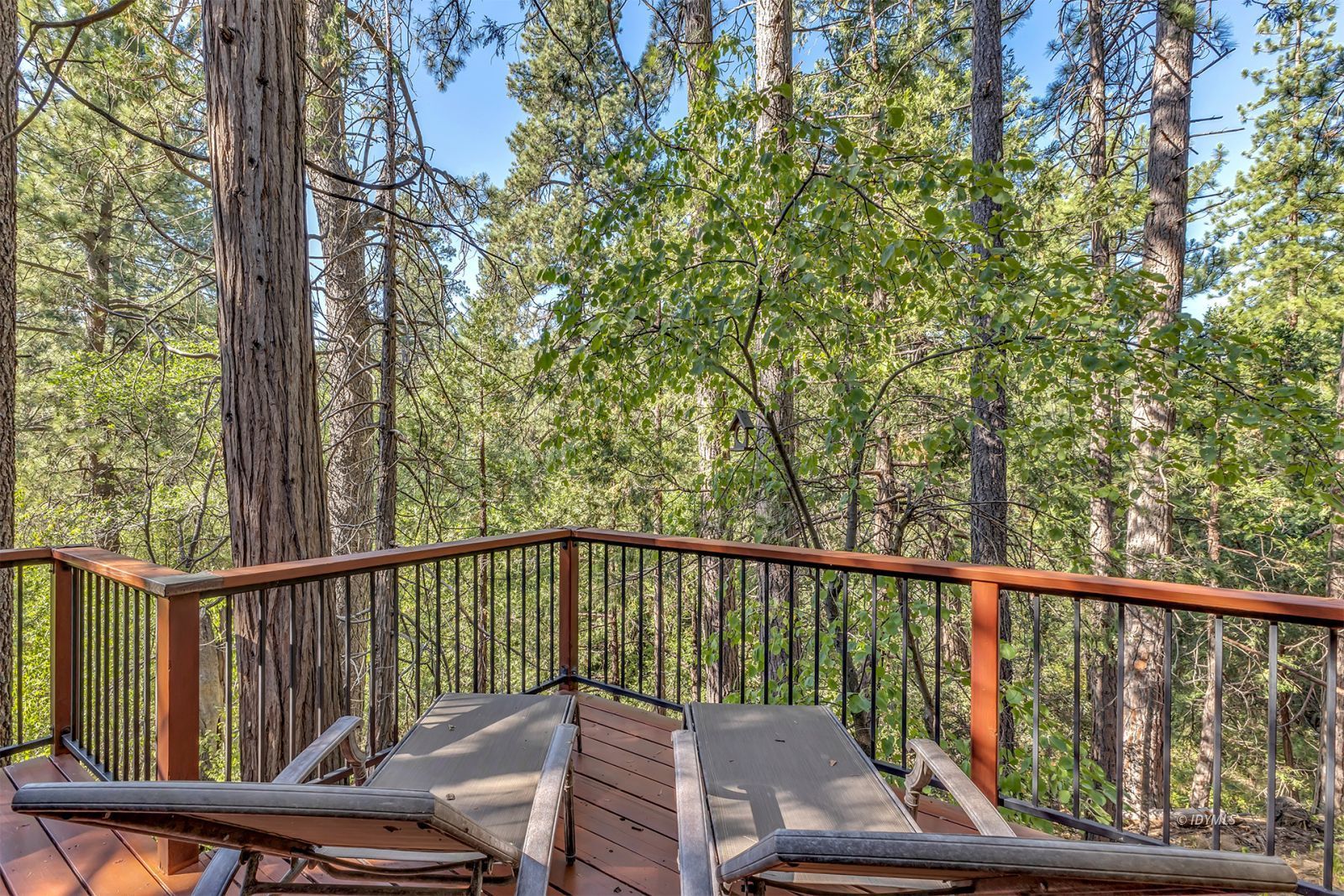 52600 Idyllmont Road Idyllwild, CA 92549 - Photo 14 of 58 Untitled