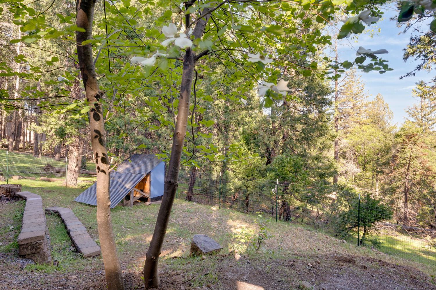 6139 Shad Way Pollock Pines, CA 95726 - Photo 32 of 49 a view of a yard with plants and trees