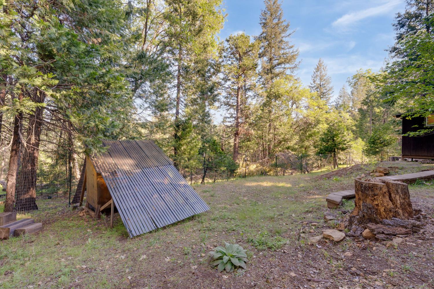 6139 Shad Way Pollock Pines, CA 95726 - Photo 35 of 49 a view of backyard with outdoor seating and trees