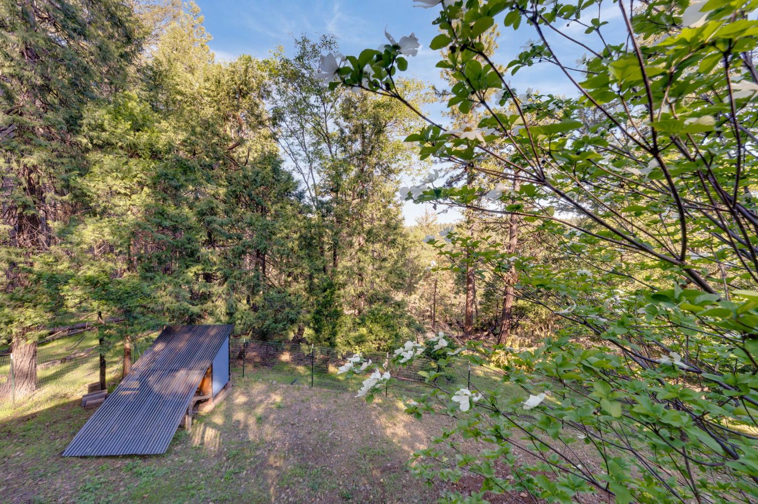 6139 Shad Way Pollock Pines, CA 95726 - Photo 45 of 49 a view of outdoor space and yard