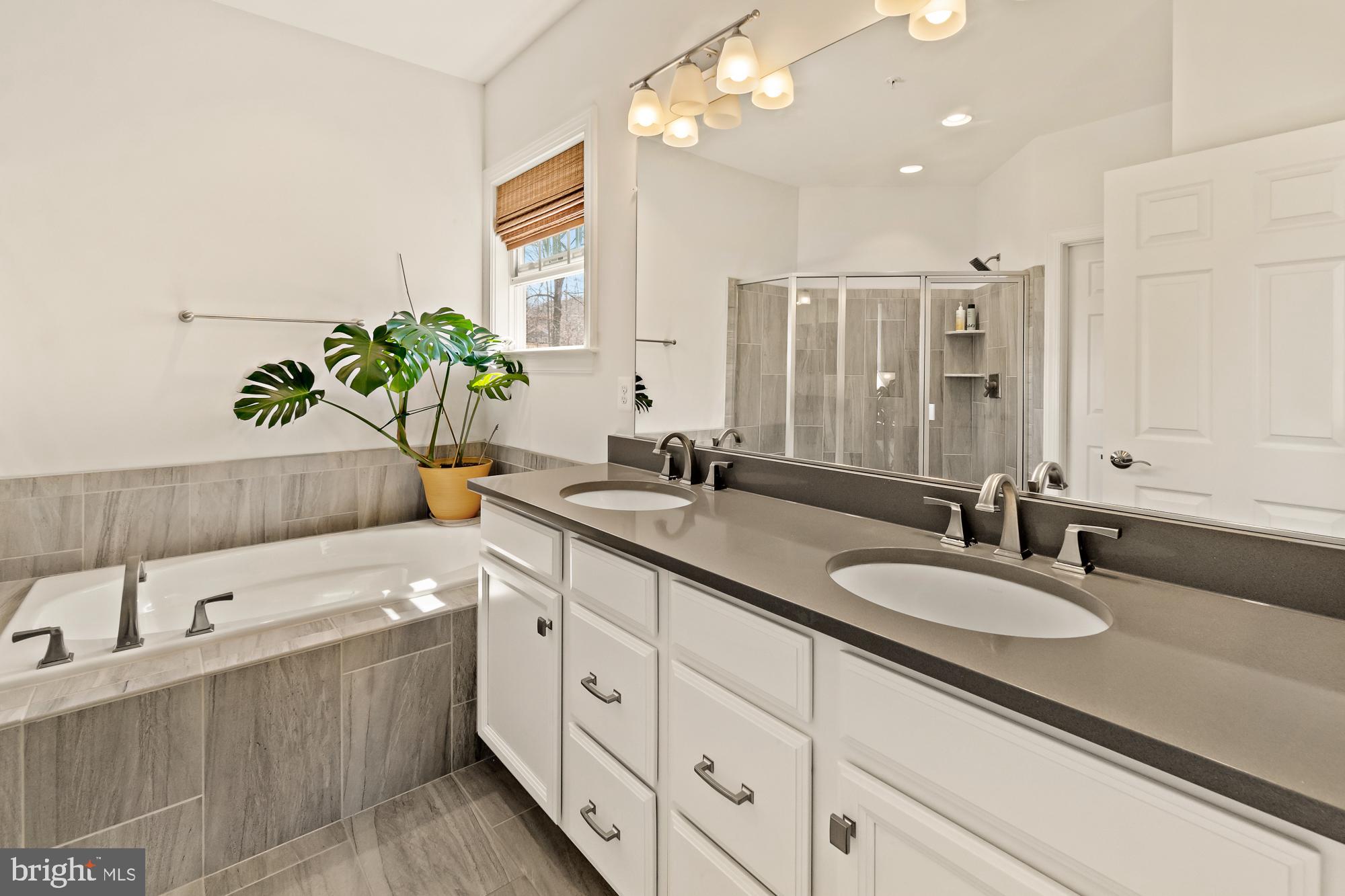 18434 Jerusalem Church Road Poolesville, MD 20837 - Photo 52 of 93 Double sink, granite counters