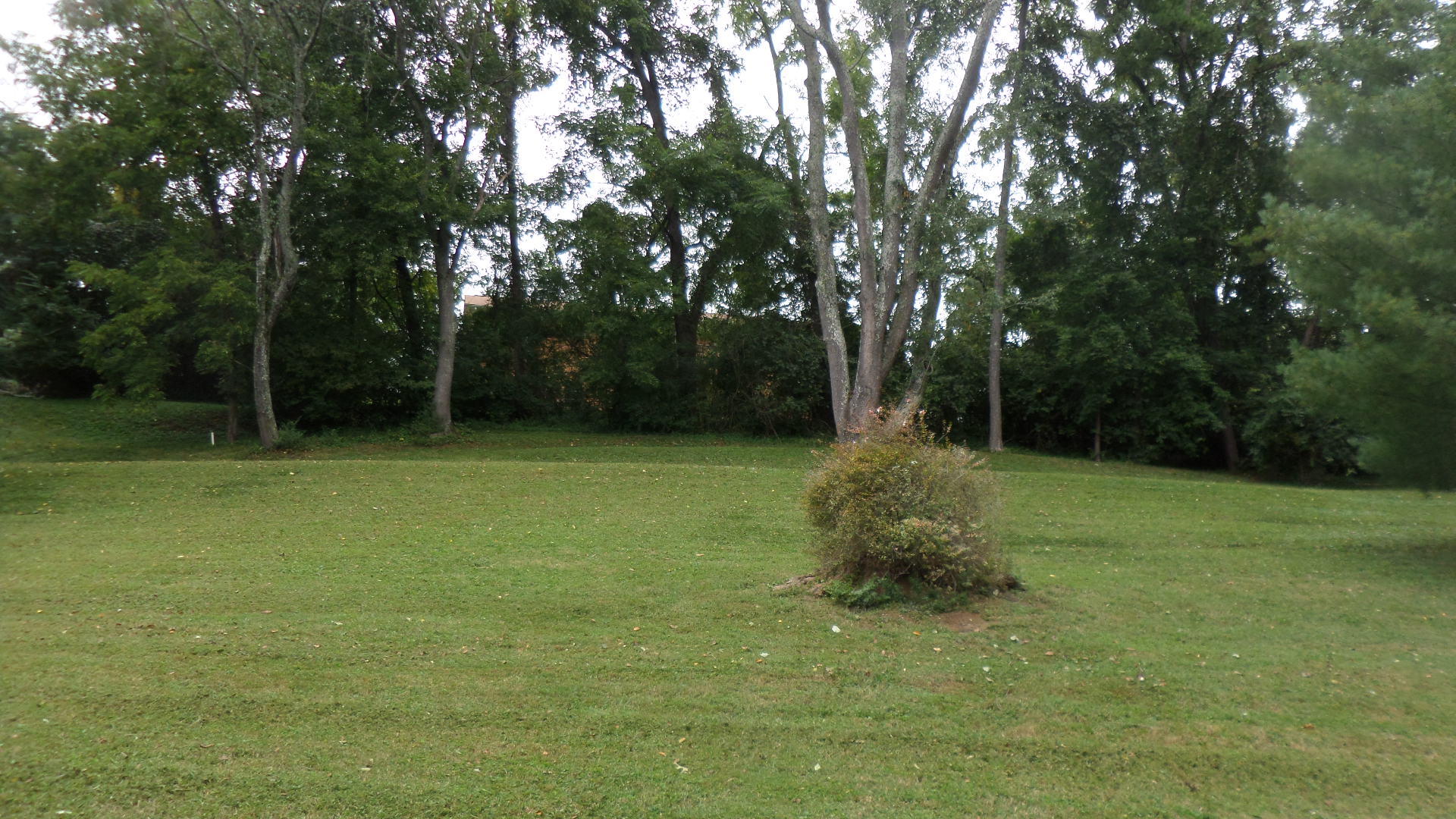 116 Providence Road Oak Ridge, TN 37830 - Photo 22 of 24 Back Yard