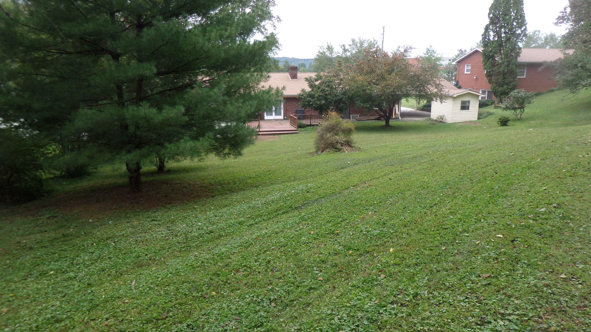 116 Providence Road Oak Ridge, TN 37830 - Photo 23 of 24 Back Yard