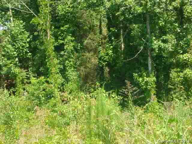 175 A Williams Road, Unit 175A Fort Mill, SC 29715 - Photo 1 of 1 a view of a lush green forest with trees in the background