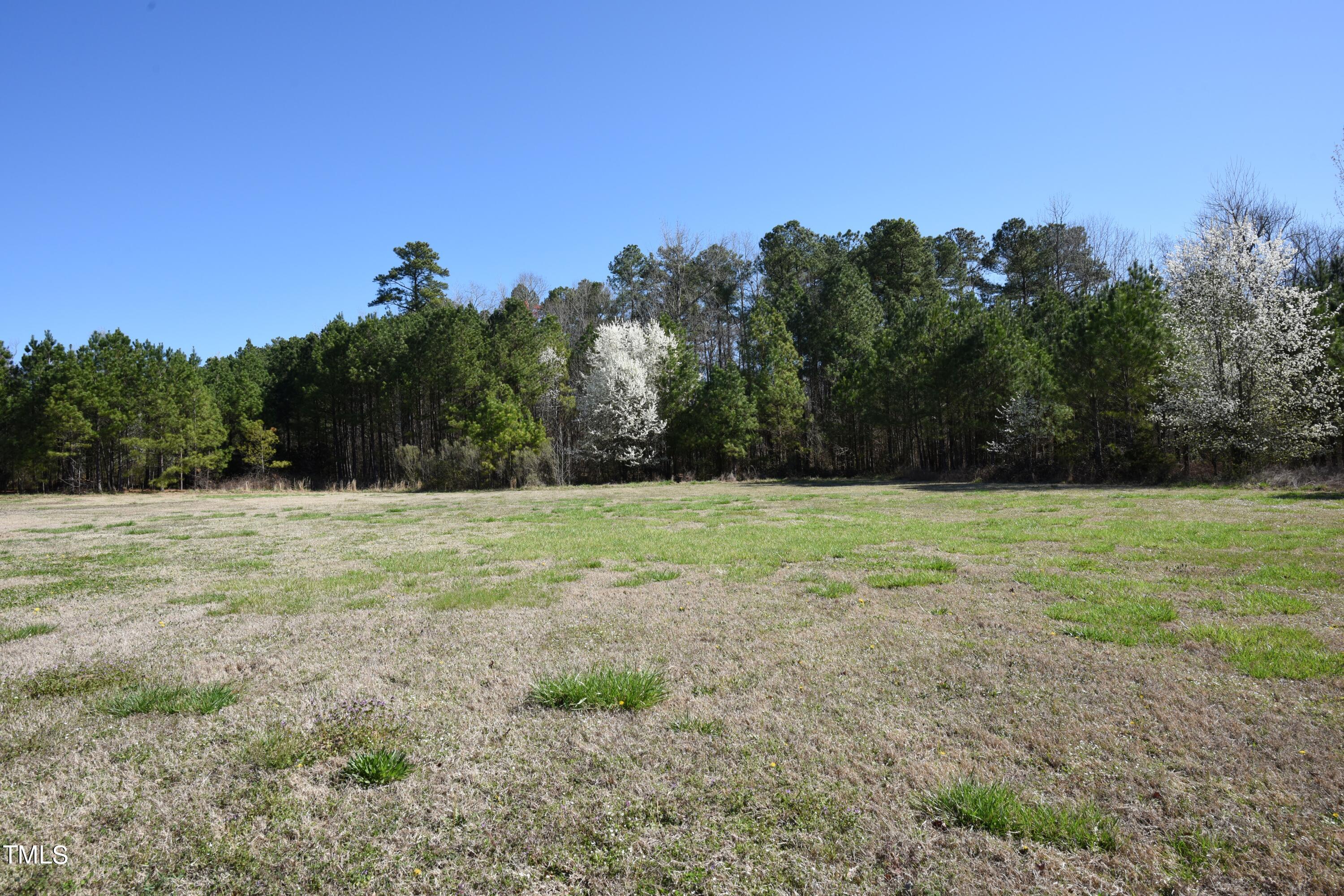 2913 Wadsworth Avenue Durham, NC 27707 - Photo 7 of 15 a view of a field with trees in the background