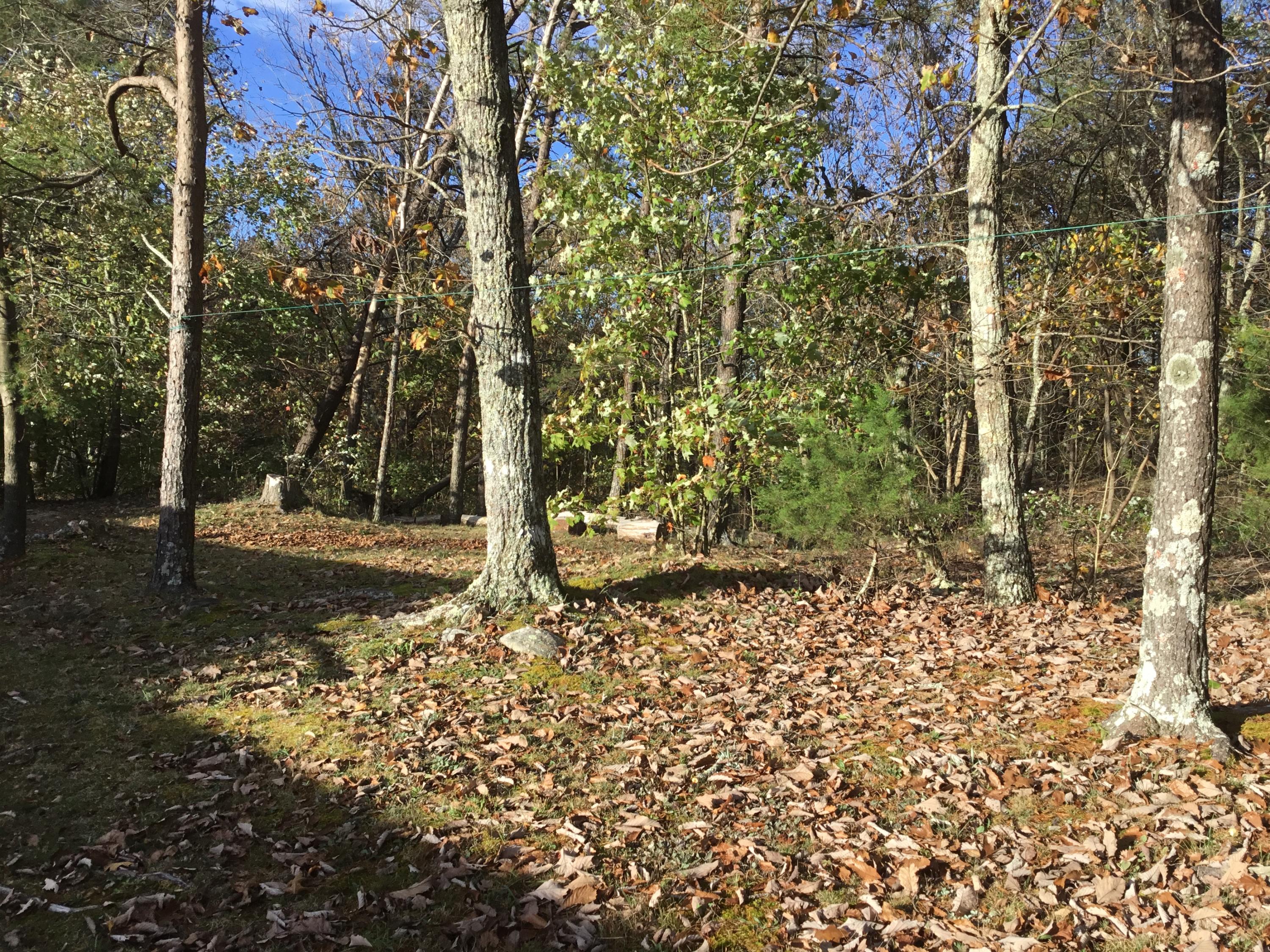 1895 Porch Rock Road Pikeville, TN 37367 - Photo 22 of 24 IMG_3908