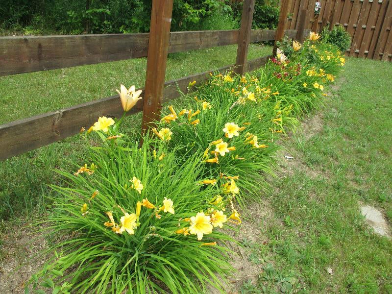 6975 Van Tyle Road Gaylord, MI 49735 - Photo 29 of 31 Gallery Image 29